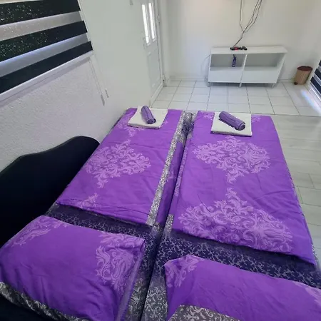 Kamp Adventure Tara Foca