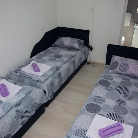 Adventure Tara * Foca