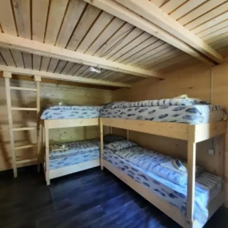 Adventure Tara * Foca